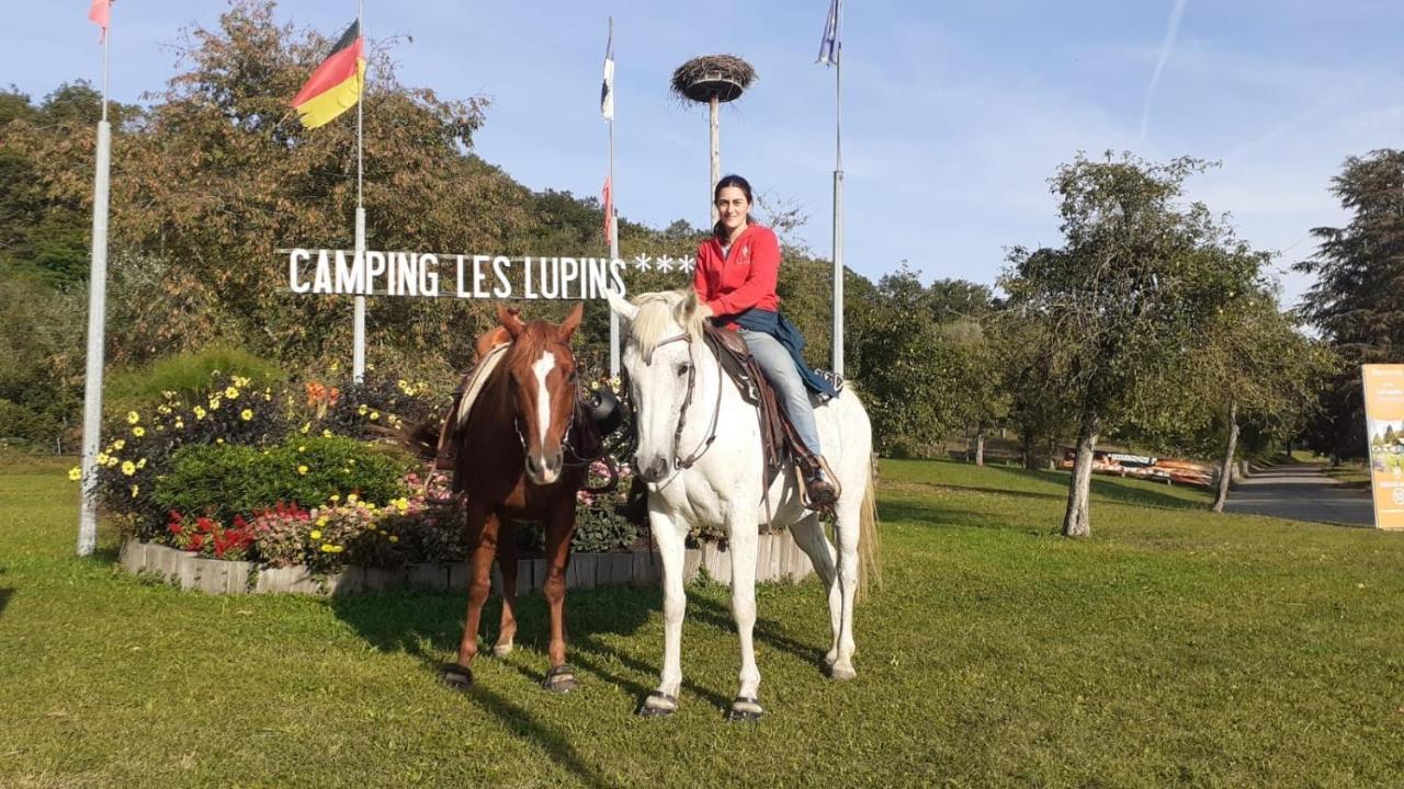 Camping Les Lupins Seppois-le-Bas Buitenkant foto